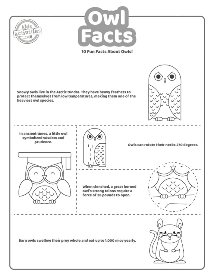 Capture d'écran d'un hibou noir et blanc.