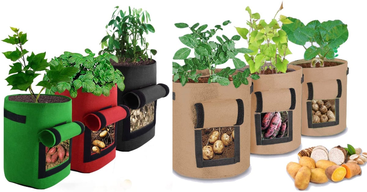 Vous pouvez cultiver vos propres légumes avec des sacs de culture de pommes de terre au lieu d'un jardin et je suis en train de l'essayer
