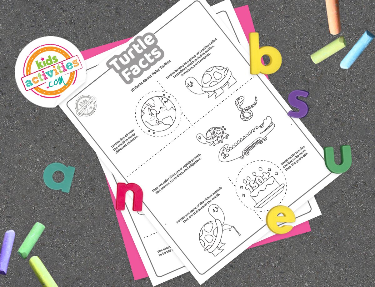 Faits amusants sur les tortues que les enfants peuvent imprimer et apprendre