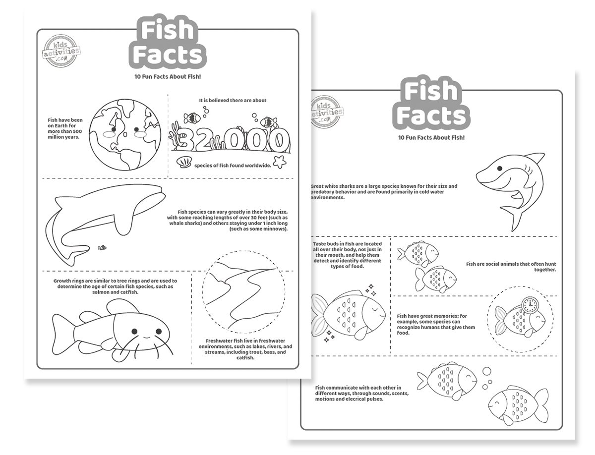 10 faits sur les poissons qui sont tellement amusants à apprendre !
