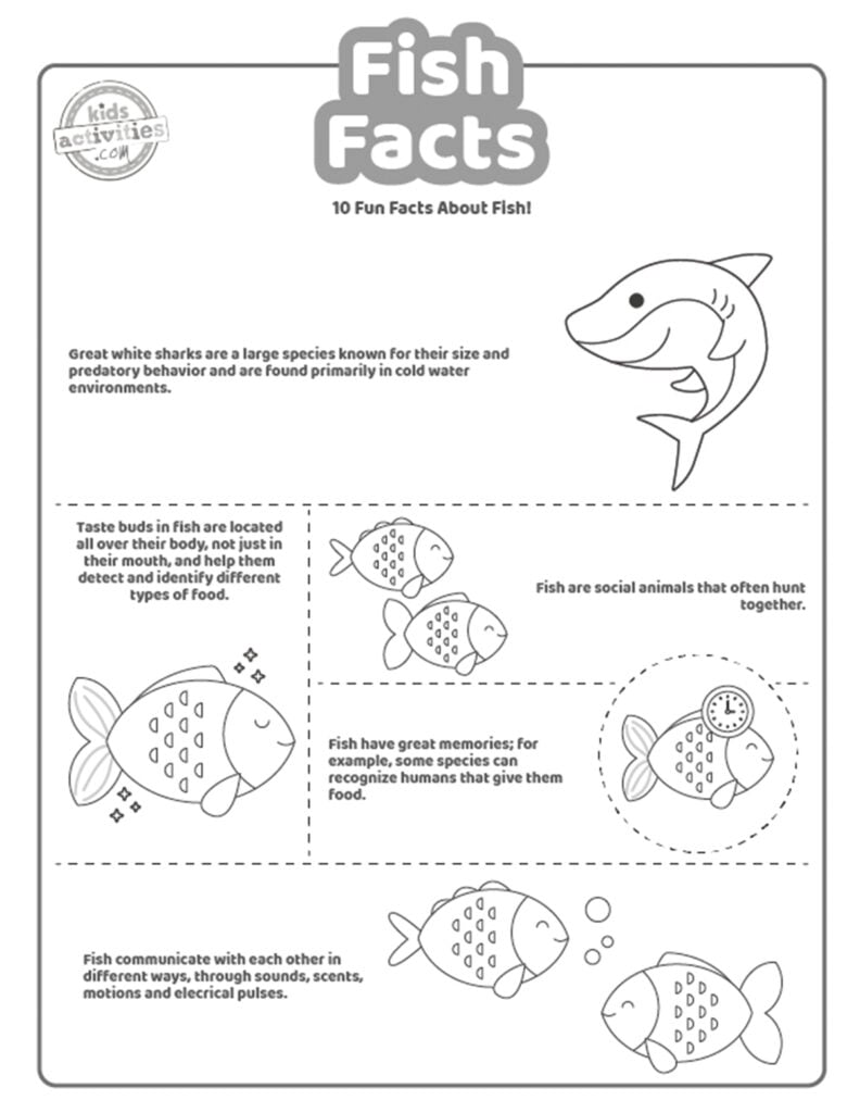 Capture d'écran d'une page à colorier en noir et blanc avec des faits sur les poissons.
