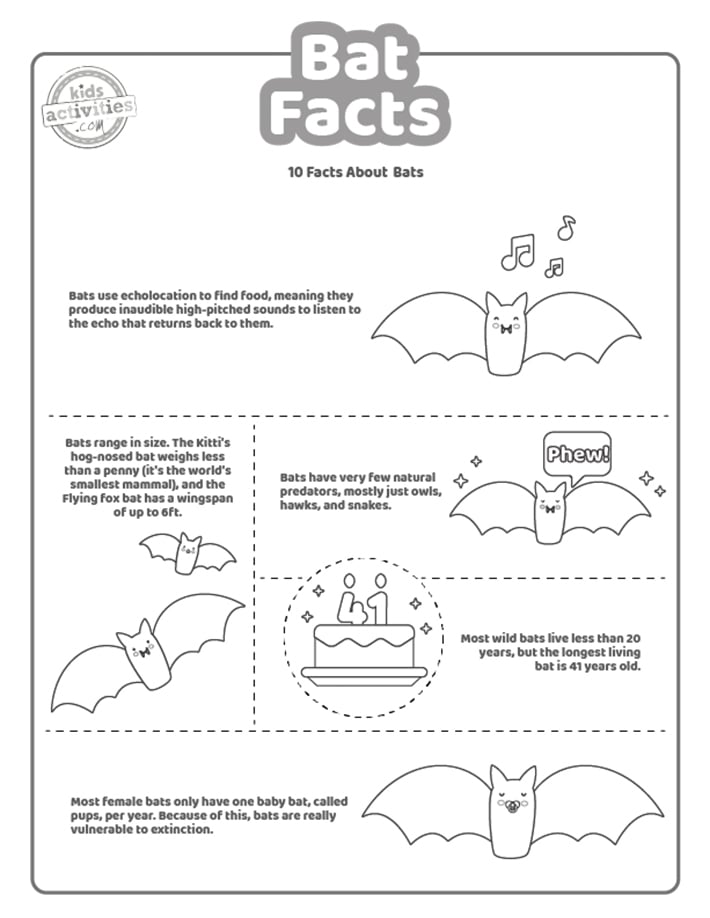 Fichier pdf imprimé de faits sur les chauves-souris, page deux affichée en noir et blanc avec 5 faits intéressants pour les enfants sur les chauves-souris