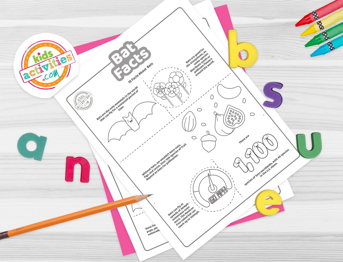 Faits amusants sur les chauves-souris que les enfants peuvent imprimer et apprendre