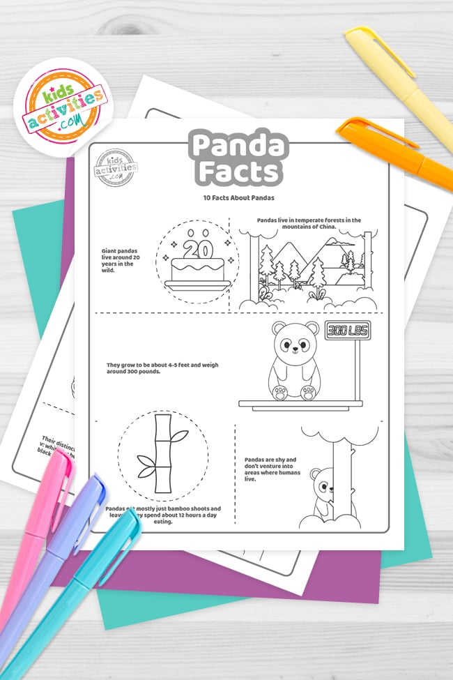 Faits amusants sur les pandas pour les enfants Imprimez et apprenez