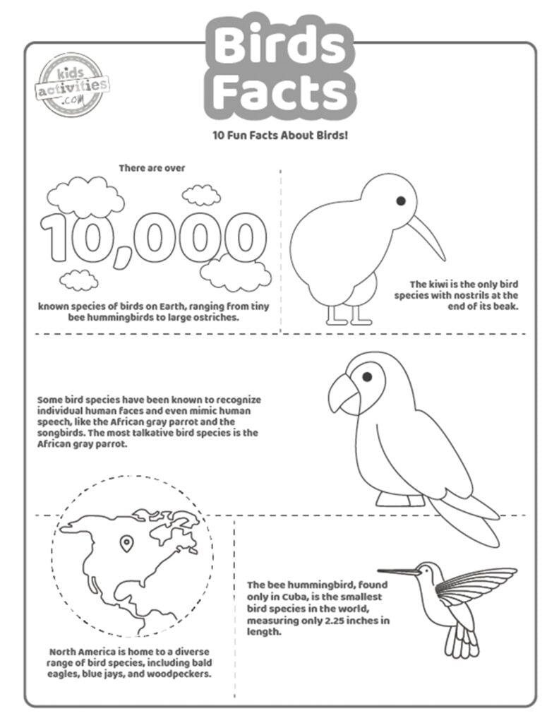 Capture d'écran d'une page à colorier en noir et blanc avec des faits sur les oiseaux.
