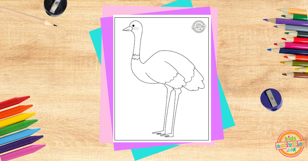 Coloriage d'autruche gratuit à imprimer pour les enfants