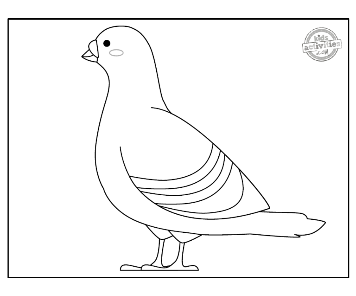 Coloriage Pigeon noir et blanc imprimé pdf - blog d'activités pour enfants