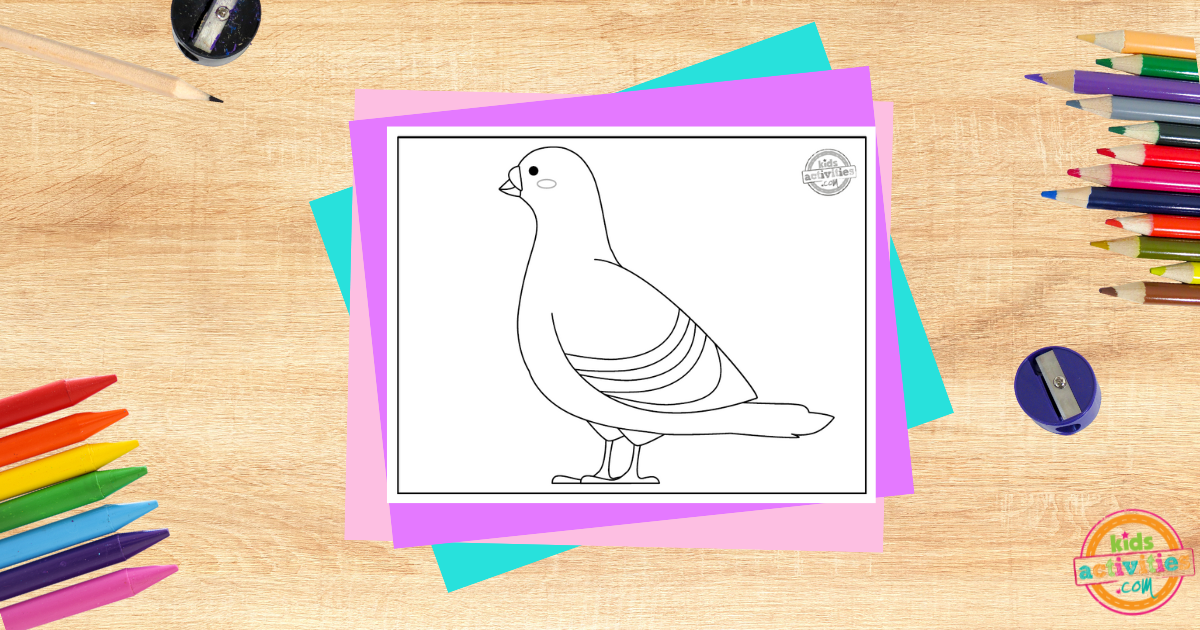 Coloriage Pigeon à imprimer gratuitement