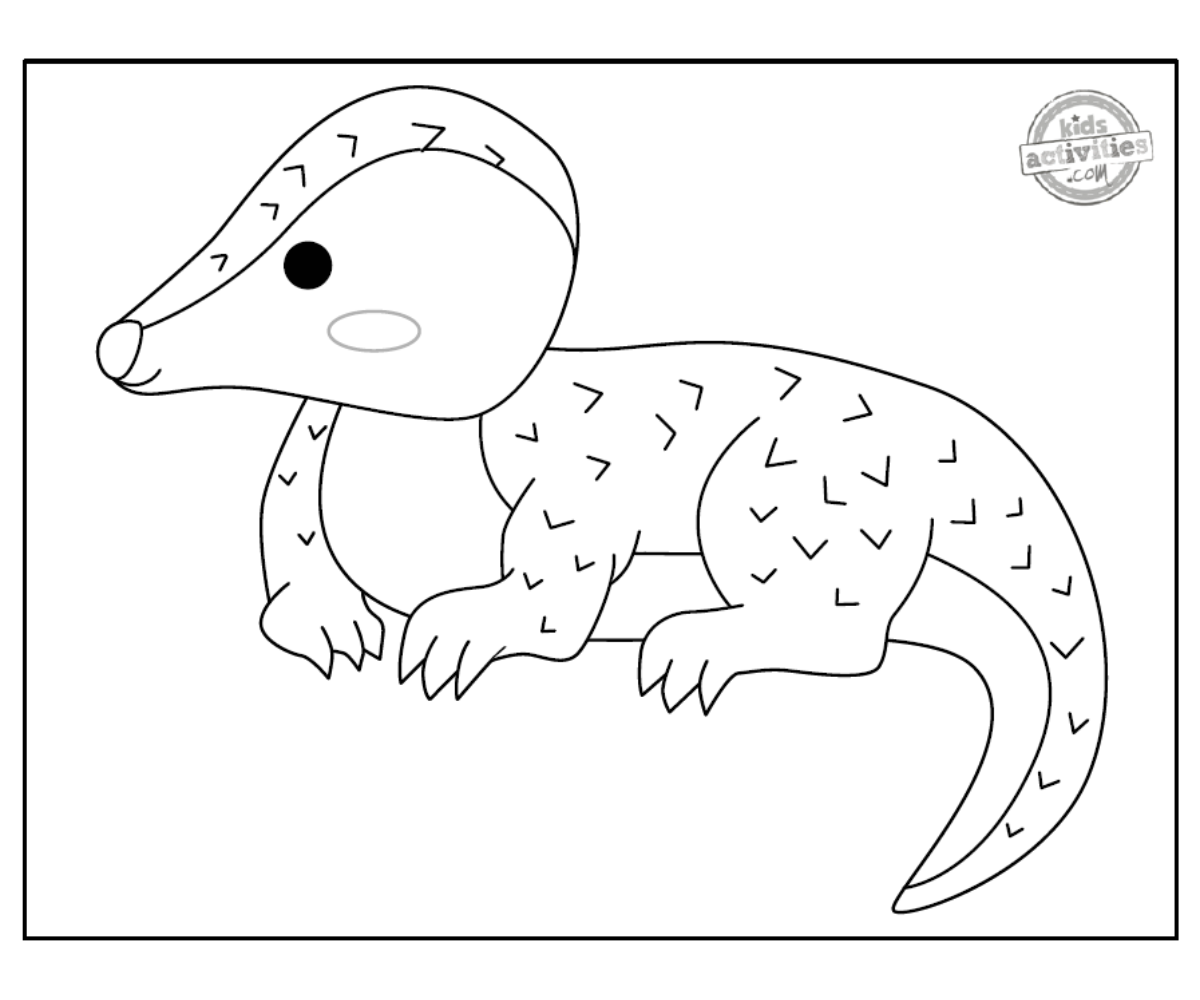 Coloriage Pangolin noir et blanc imprimé fichier pdf - blog d'activités pour enfants