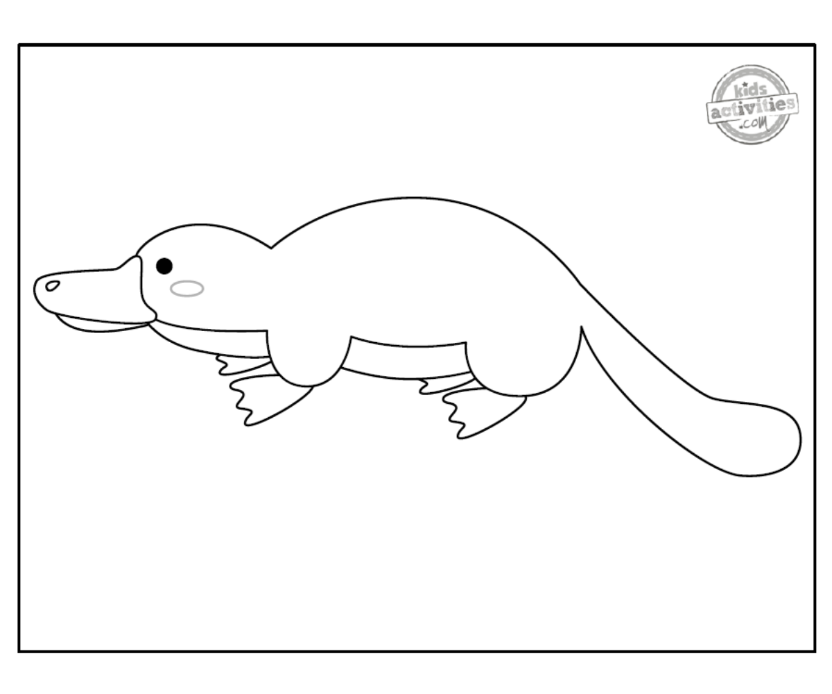 Coloriage Platypus en noir et blanc imprimé en fichier pdf - blog d'activités pour enfants