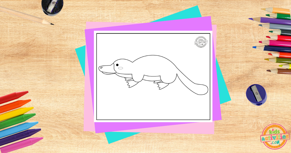Coloriage d'ornithorynque super mignon pour les enfants