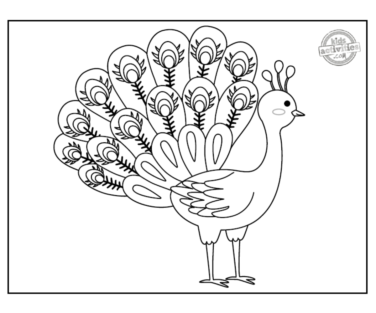 Paon coloriage page noir et blanc imprimé fichier pdf - blog d'activités pour enfants