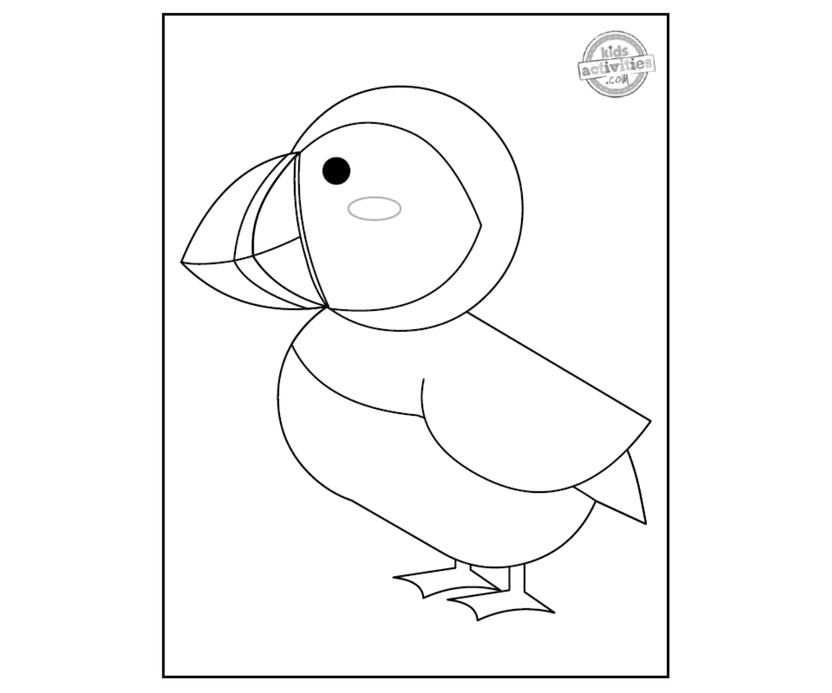 Coloriage Macareux moine noir et blanc fichier pdf imprimé - blog d'activités pour enfants