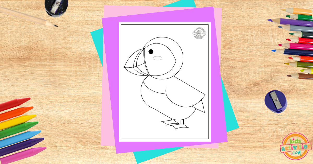 Coloriage mignon de macareux pour les enfants