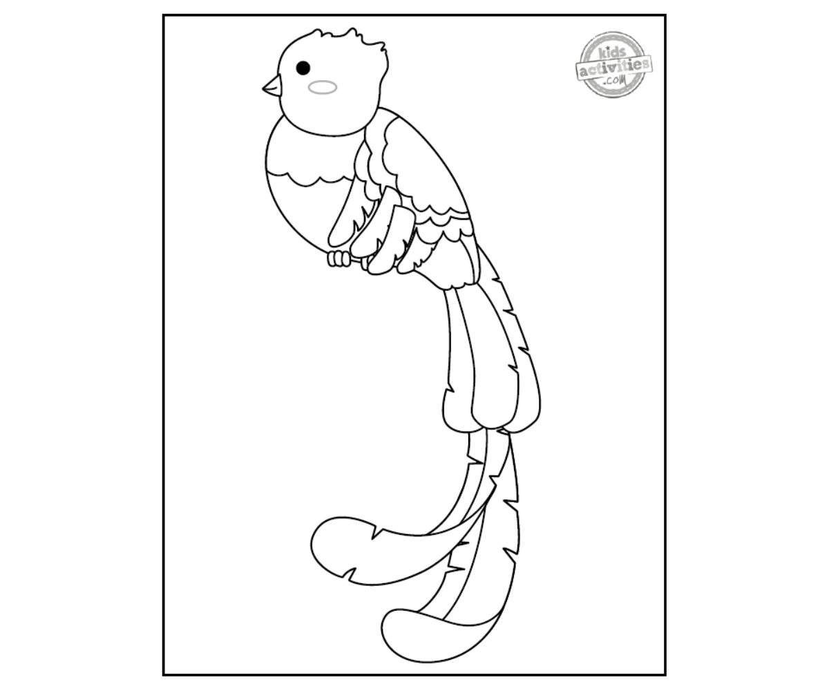 Quetzal Coloriage page noir et blanc imprimé fichier pdf - blog d'activités pour enfants