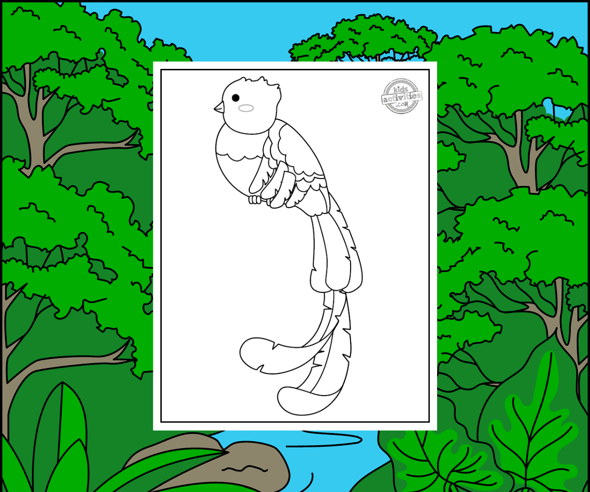 Feuille de coloriage Quetzal sur fond de forêt tropicale - Blog d'activités pour enfants