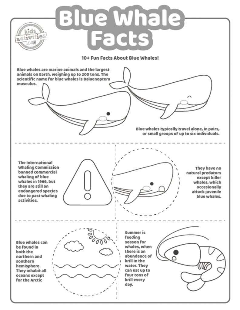 Capture d'écran d'un coloriage en noir et blanc avec des faits sur les baleines bleues.