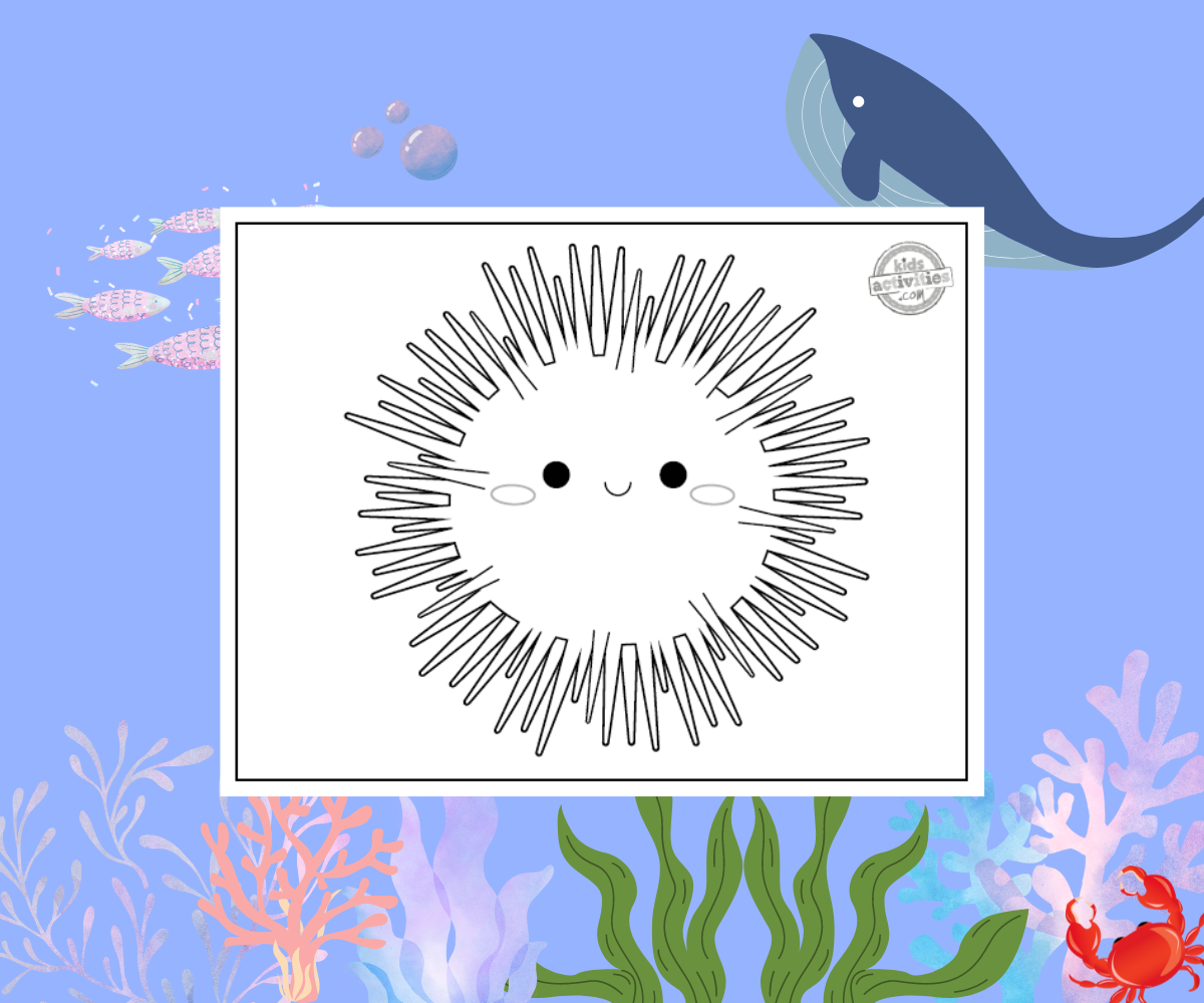 Coloriage d'oursin sur fond sous la mer - blog d'activités pour enfants