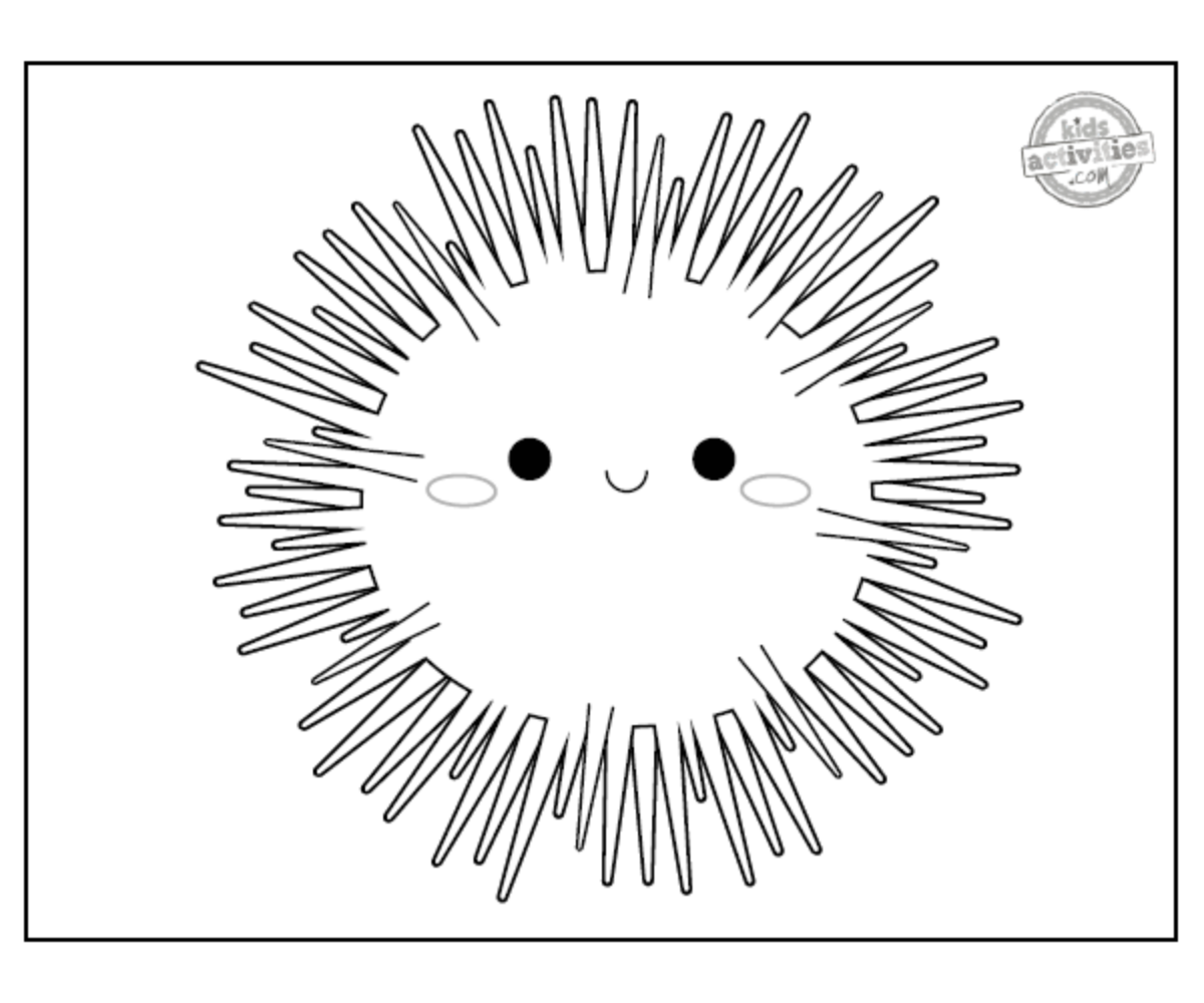 Coloriage oursin noir et blanc imprimé fichier pdf feuille de coloriage- blog d'activités pour enfants