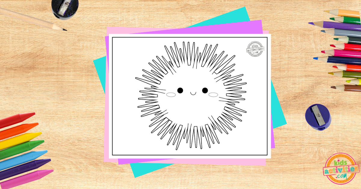 Coloriage oursin imprimable pour les enfants