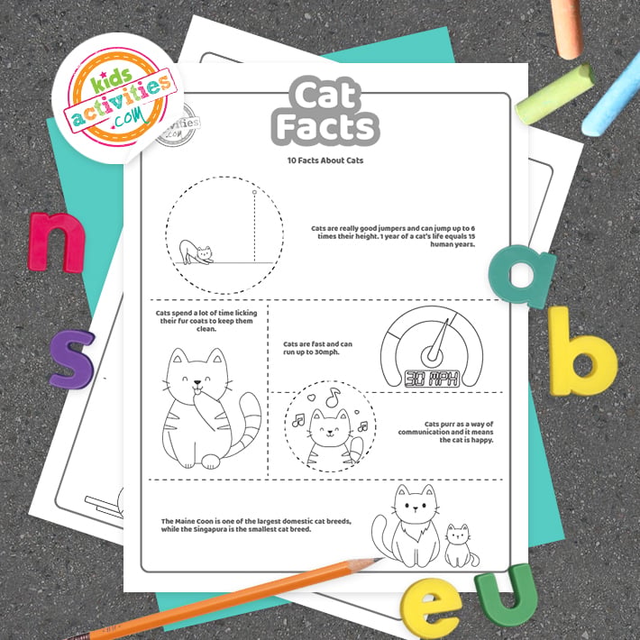 Pages imprimables de faits sur les chats affichées sur fond sombre avec le logo du blog d'activités pour enfants et des accessoires colorés
