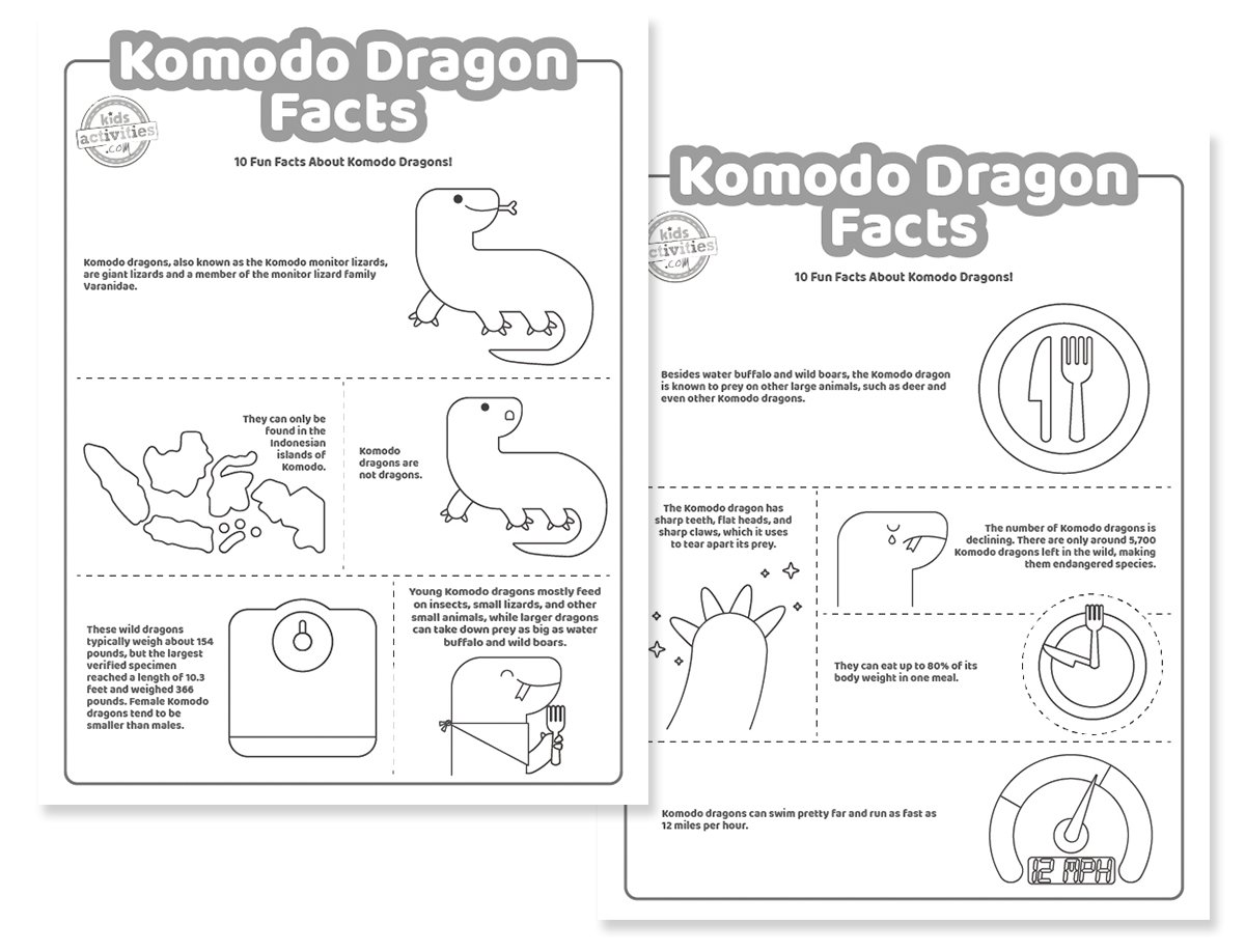10 faits amusants sur le dragon de Komodo