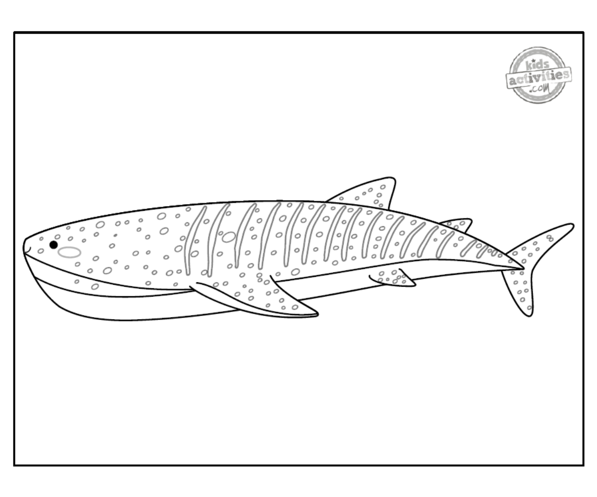 Page de coloriage de requin-baleine en noir et blanc, fichier PDF imprimé, feuille de coloriage - blog d'activités pour enfants