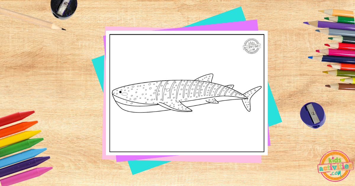 Magnifique page à colorier de requin-baleine