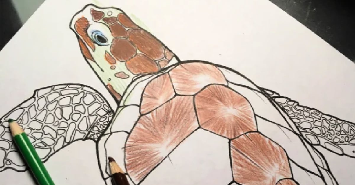 Coloriage de tortue de mer pour enfants