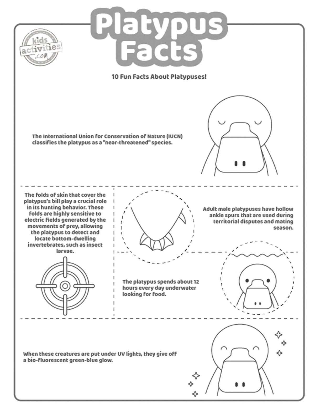 Capture d'écran d'une page à colorier en noir et blanc avec des faits sur l'ornithorynque