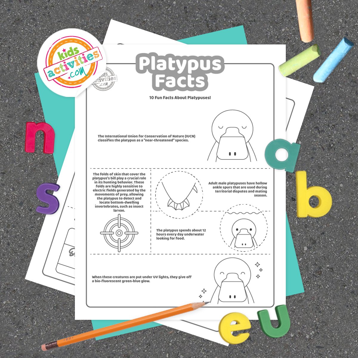 Pages à colorier en noir et blanc avec des faits sur l'ornithorynque posés sur des feuilles bleu-vert et violet avec des crayons assortis sur un fond gris foncé.