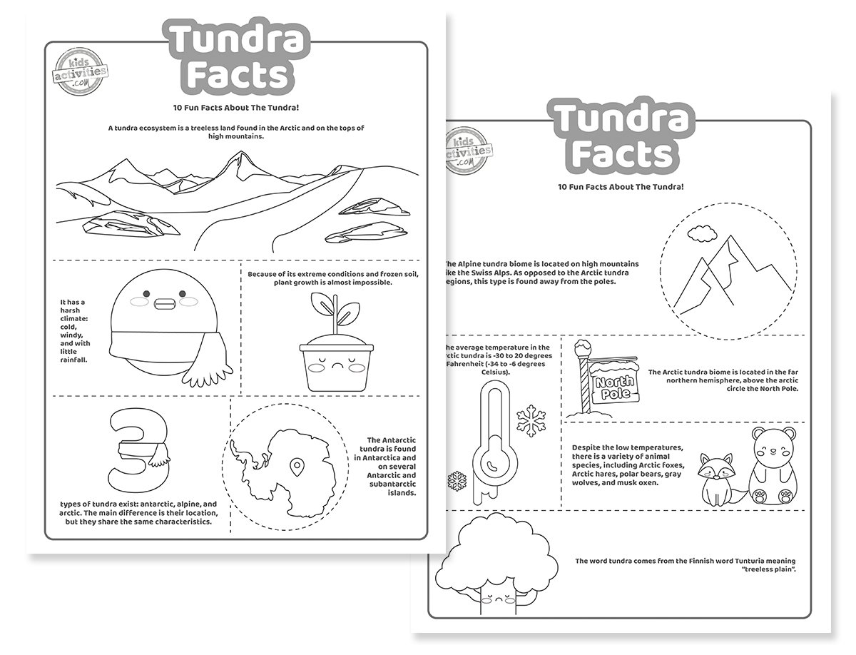 Informations imprimables sur la toundra pour les enfants