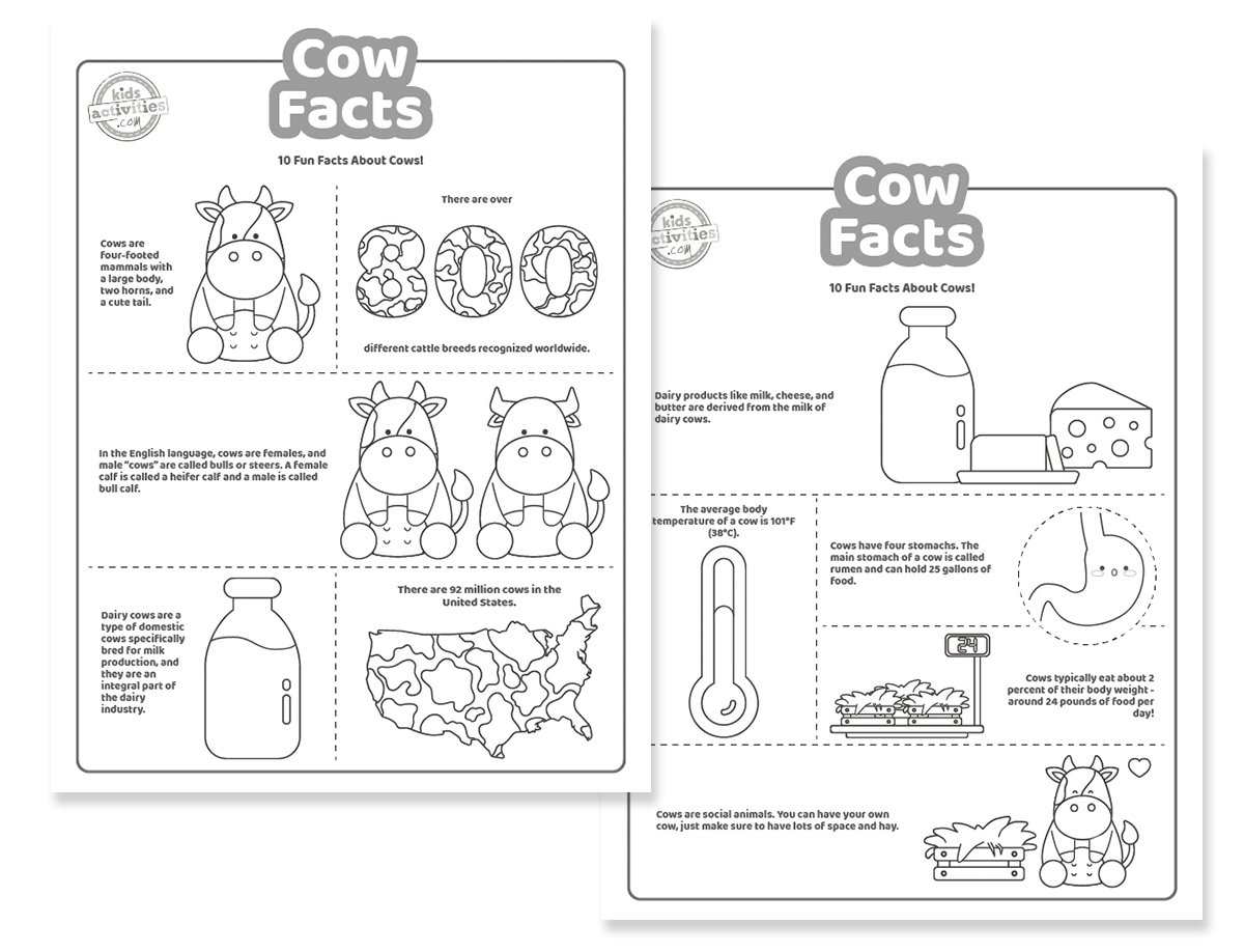 10 faits amusants sur les vaches pour les amoureux des vaches