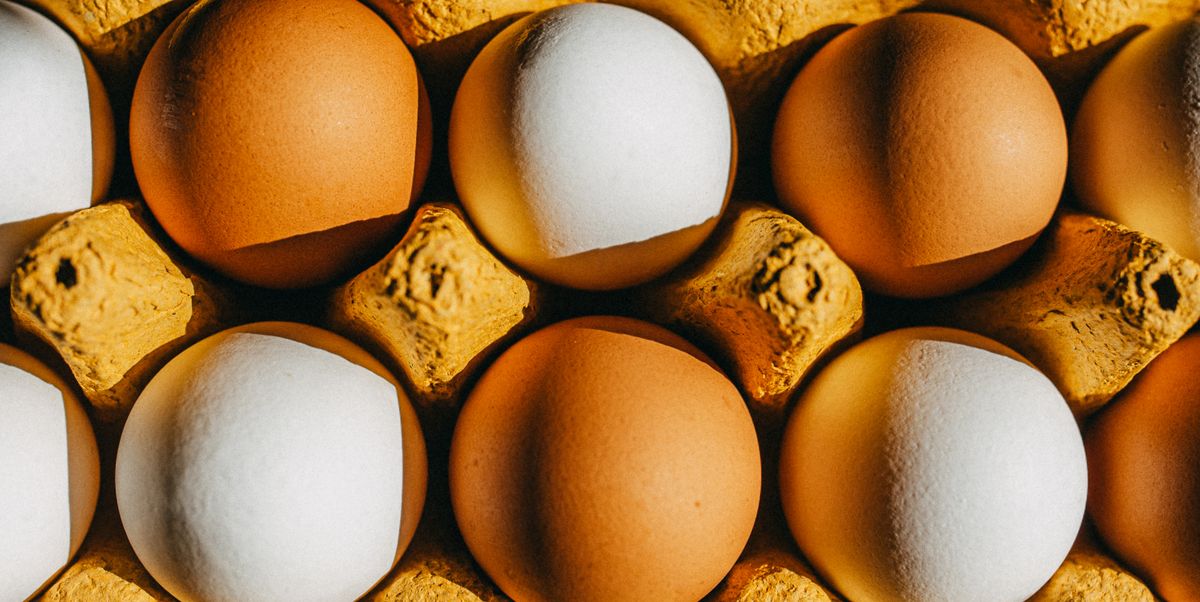 Quelle quantité de protéines est trop? Les experts en nutrition expliquent combien vous avez besoin