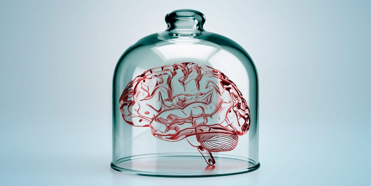 La ménopause peut remodeler votre cerveau. Les scientifiques disent que vous pouvez le recâbler.